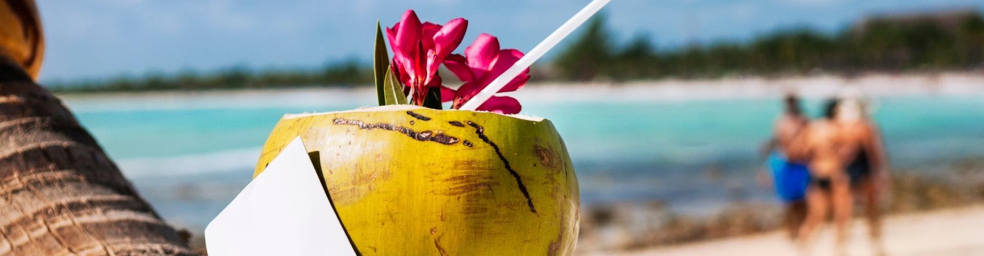Service haut-de-gamme de conciergerie Airbnb - Mon Petit Faré Paris blog - Ce qu'il faut visiter aux Caraïbes 